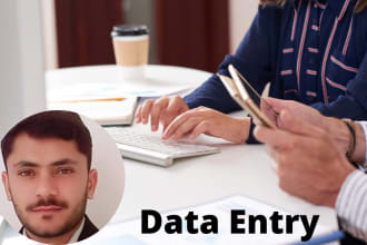 do professional excel data entry, copy paste, web research