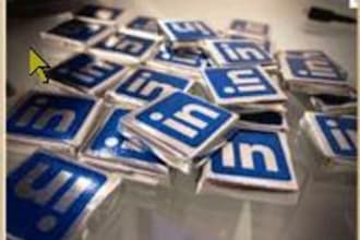 critique your Linked In professional profile