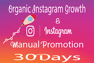 do instagram marketing professionally to gain audience