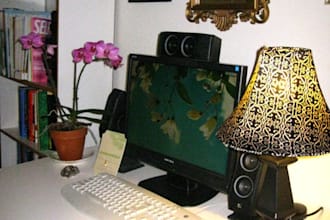give you interior design advice
