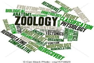 making research articles, presentations, proofreadings