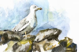 draw watercolor illustration for you