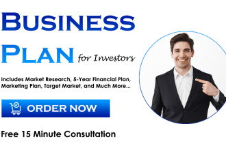 write an investor ready business plan and financial plan