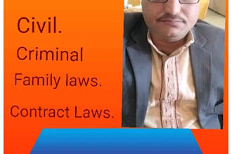 provide legal service for any field