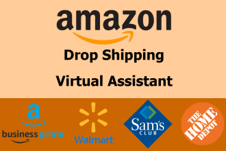 manage your amazon dropshipping store
