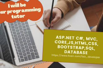 teach cpp, c sharp, aspnet core and web programming tutor