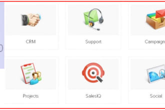 do any task related to zoho crm,creator, books,desk etc