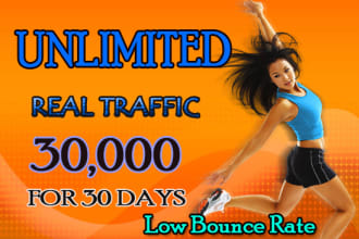 real organic targeted web traffic