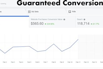 a high converting facebook ad campaign