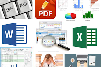 be your virtual assistant for data entry, web research, excel data