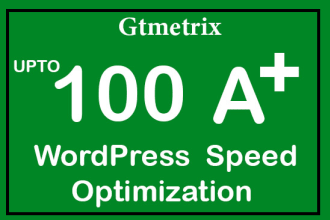 do wp speed up optimization in google insights and others