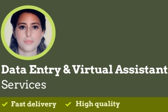 be your virtual assistant for data entry