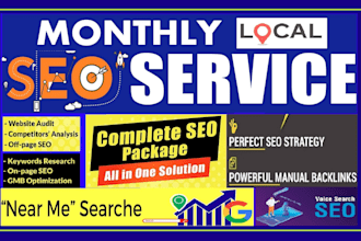 provide monthly SEO service for local business