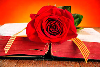 be your developmental editor for romance and ya fiction