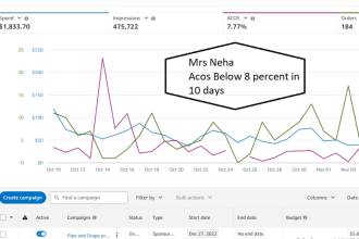 setup amazon PPC campaign and amazon fba ppc management