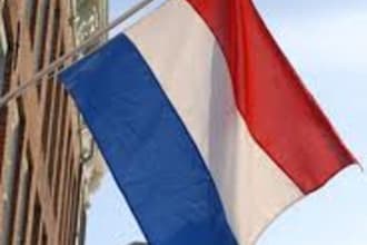 place your article on dutch high trust flow 48 website