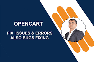 upgrade, migrate, fix issues or customize opencart store