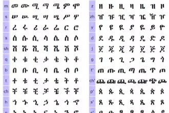 translate amharic, tigrinya and oromo to english