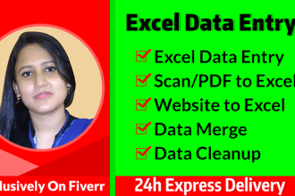 do fast and accurate excel data entry and excel spreadsheet work