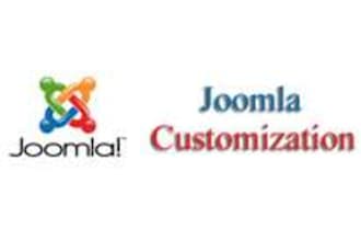 do perfect Customization in record time for Joomla Template