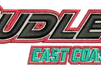 do 3d puff embroidery digitizing and dst,pes,emb,ngs,pxf,etc