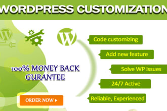customize, fix issues and upgrade wordpress website