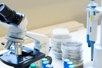 write medical microbiology scripts, reports and research