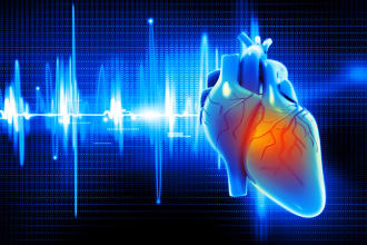 write human physiology articles and scripts
