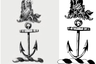 do vector tracing redraw image perfectly