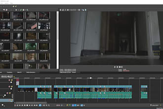 edit any type of video in sony vegas