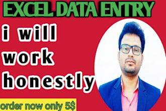 do excel data entry, typing, copy paste, data entry