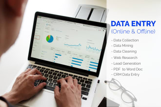 provide you data entry services fast and accurate