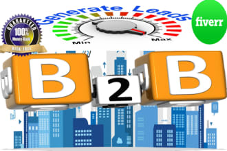 do b2b lead generation, data entry, web research, and targeted audience