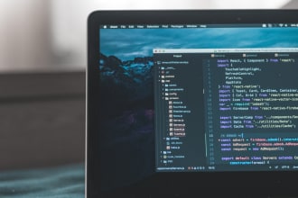 do front end development