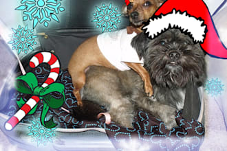 make you into a christmas card