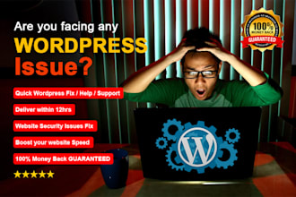 fix any kind of wordpress issue or error