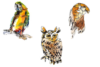 draw creative hand drawing watercolor illustration art