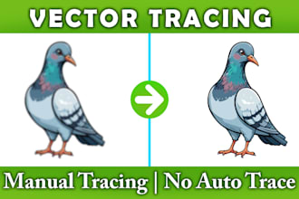 redraw, vectorize, convert logo or graphic to vector