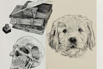 draw detailed pencil sketch illustration in 24 hours
