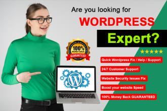 make adjustments or add features to wordpress