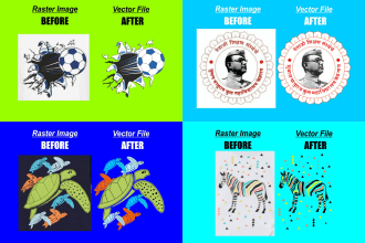 vector trace or redraw your image in vector format