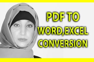 convert PDF to excel and word