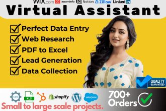 do data entry, web research, excel data cleaning, copy paste