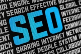 tip you basic SEO tutorials for newbies
