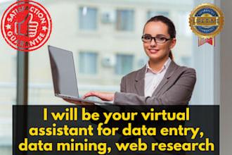 be your professional virtual assistant