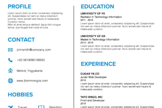make professional CV or resume