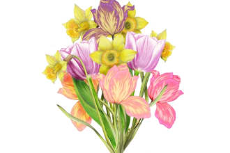 illustrate beautiful hand drawn floral bouquets