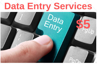 do 2 hours of data entry services