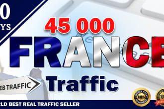 bring unlimited organic targeted france web traffic