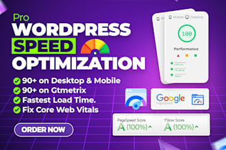 do wordpress speed optimization for google pagespeed insights